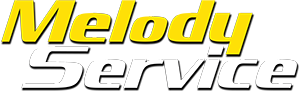 melody-service-feest-dj